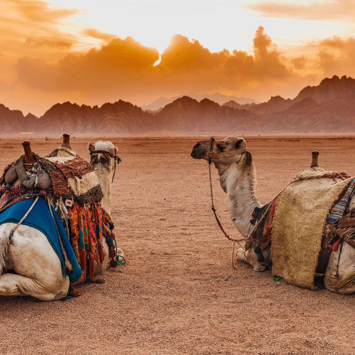 Maroc a qui s adresse 1