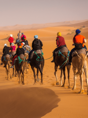 Special groupe vignette 1