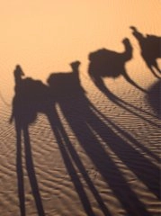 Voyagez autrement vignette