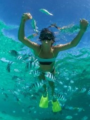 Vignette ile maurice