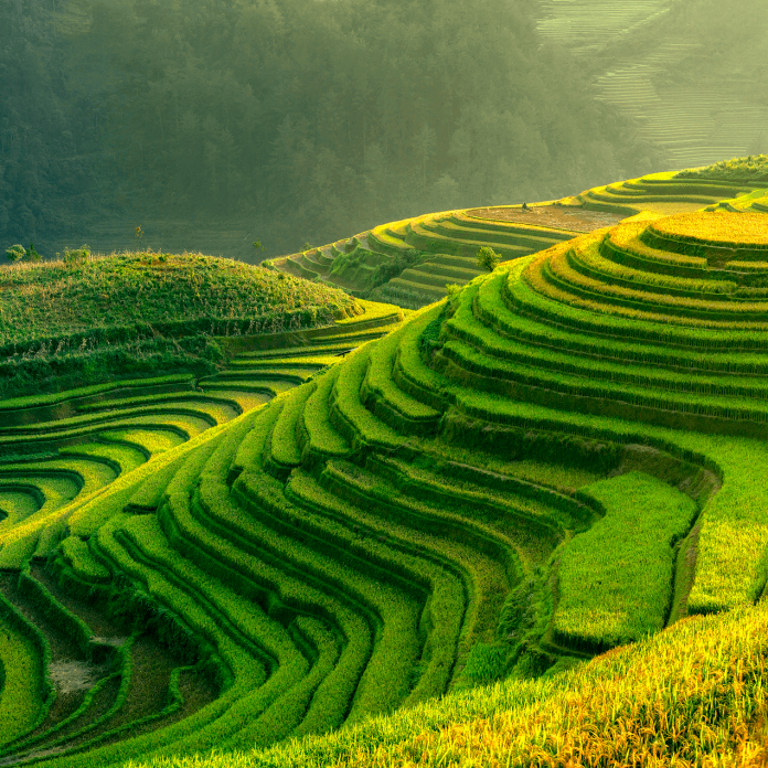 Vietnam a qui s adresse 1