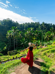 Indonesie vignette 1